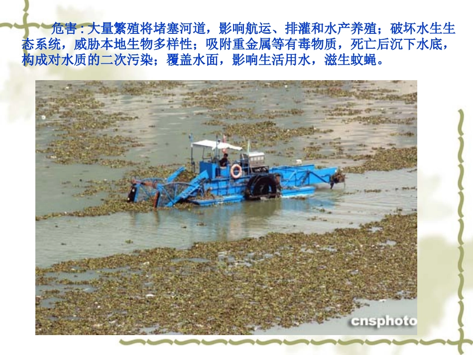 生物入侵者课件 (2)_第3页
