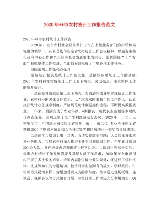 2024年--市农村统计工作报告范文 