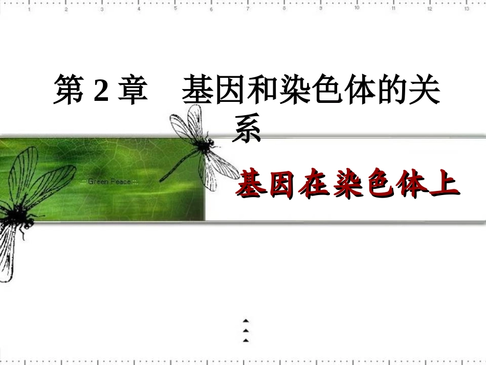 人教版必修二第2章第2节基因在染色体上（共27张PPT）_第1页