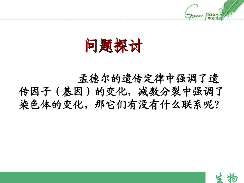 人教版必修二第2章第2节基因在染色体上（共27张PPT）_第2页