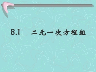 二元一次方程组(2)