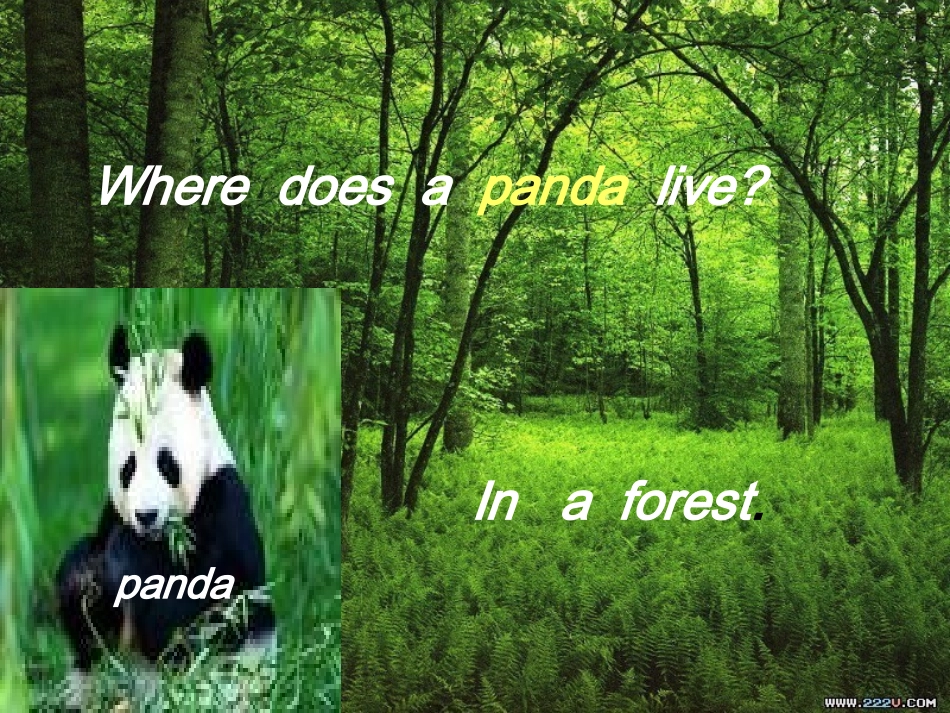 三年级下册lesson11_第2页