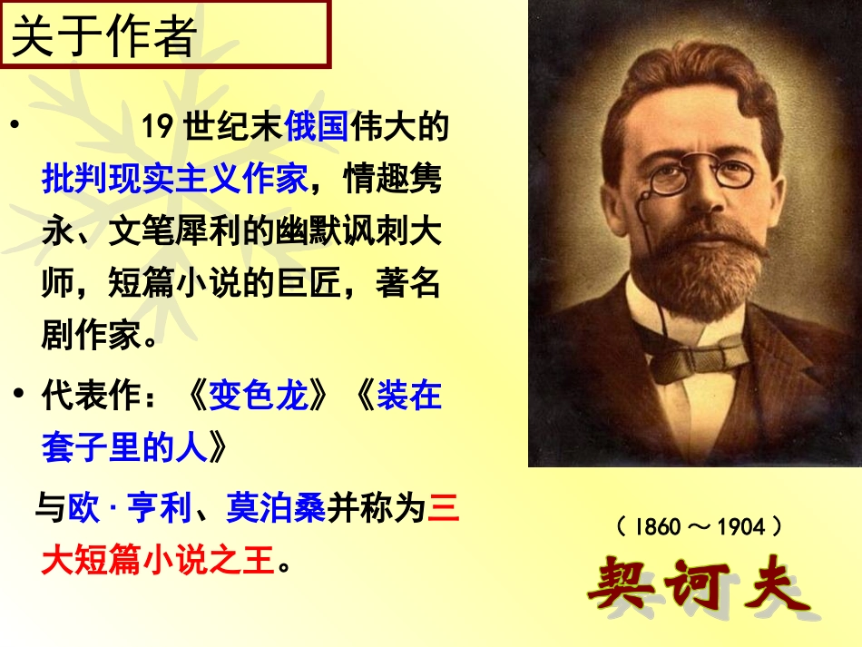 《装在套子里的人》_第2页