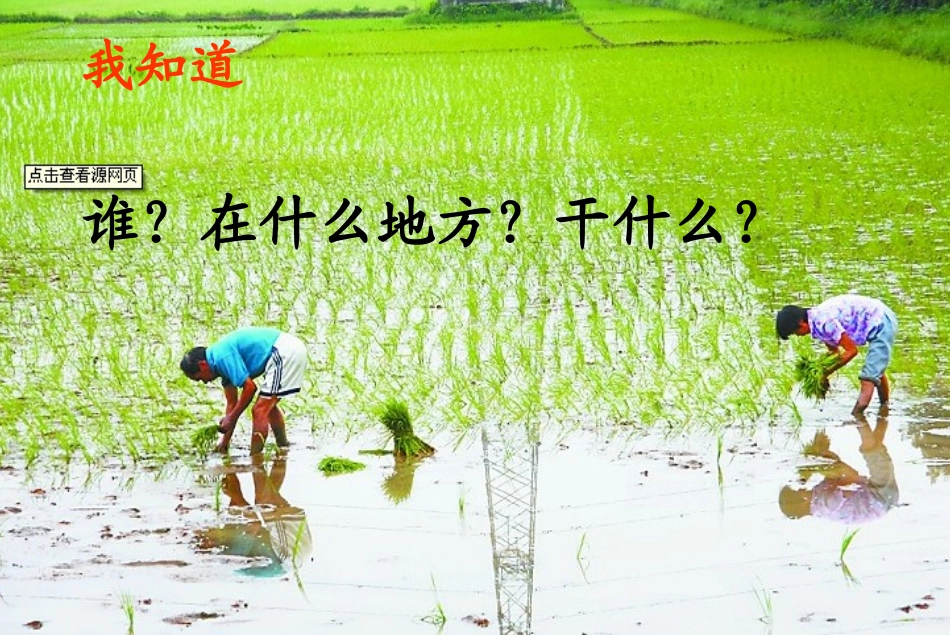 苏生国《插秧》课件_第3页