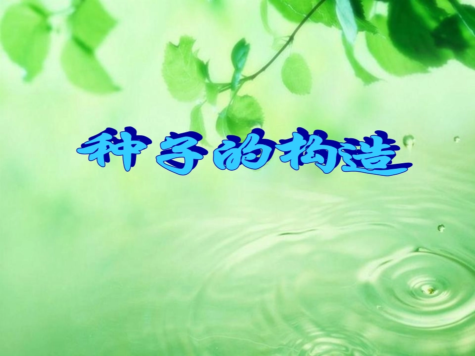 种子萌发PPT课件_第3页