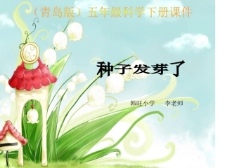 种子萌发PPT课件