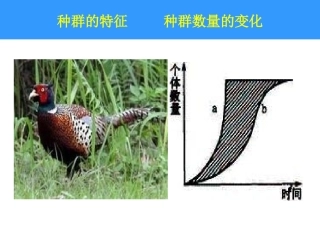 种群的特征种群数量的变化