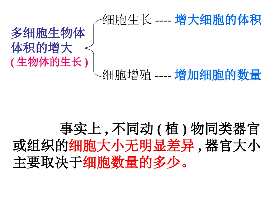 细胞的增殖（生命的历程）_第3页