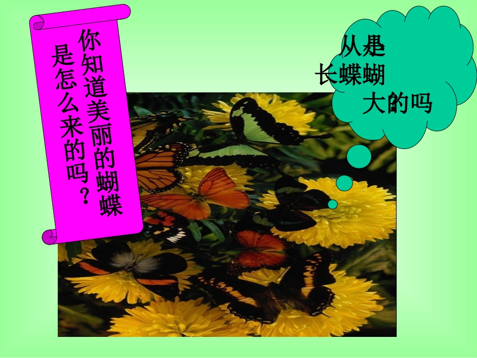 《昆虫的生殖和发育》课件_第2页