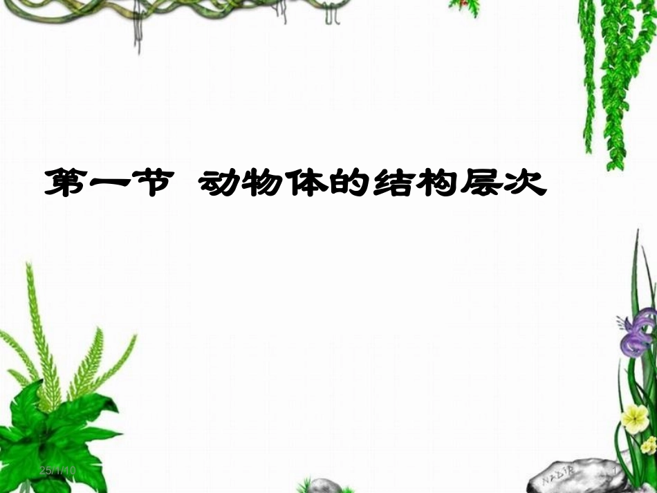 人教版七年级上生物《动物体的结构层次》_第1页