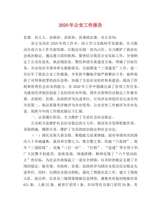 2024年公安工作报告 