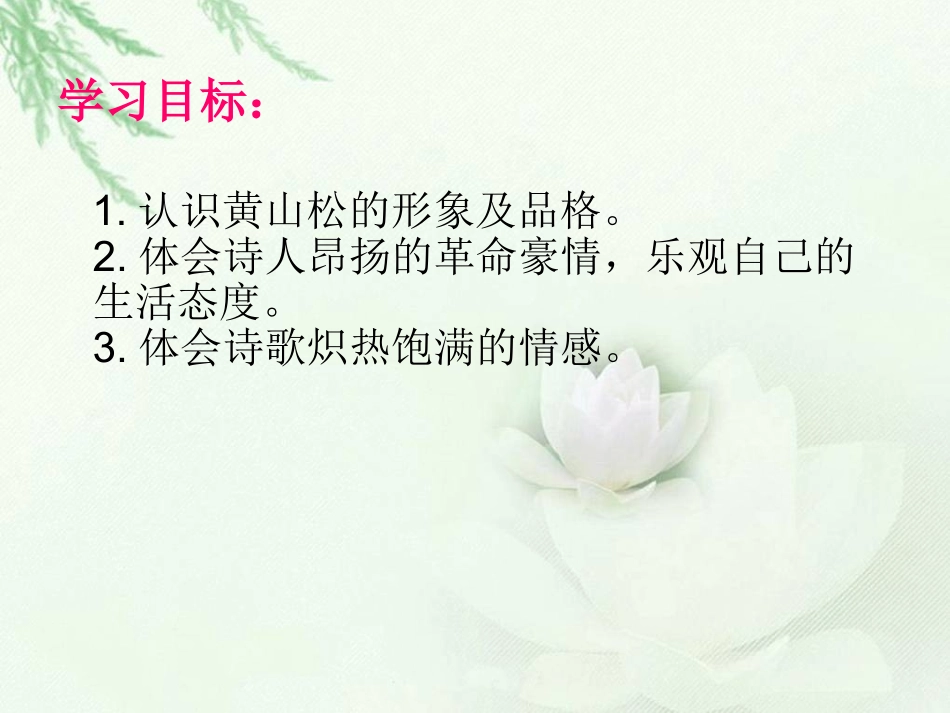 黄山松课件(北师大版六年级语文上册课件)_第3页