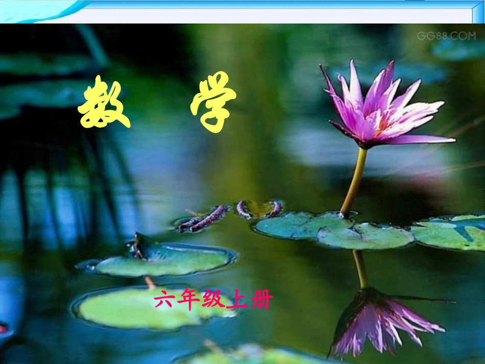 《这月我当家》PPT课件_第1页
