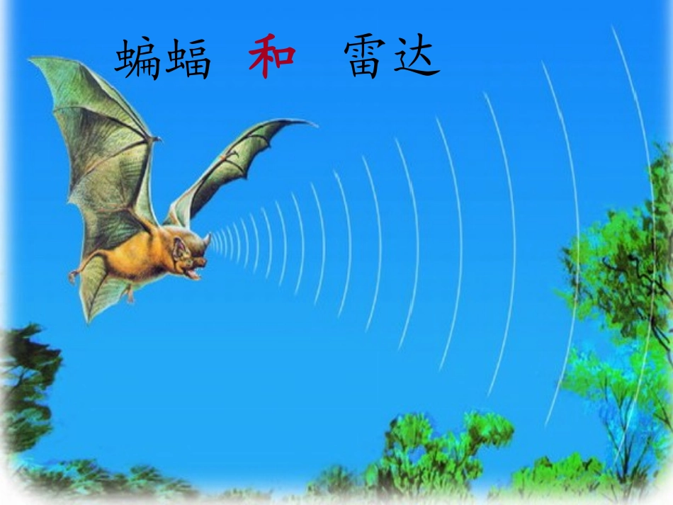 蝙蝠和雷达(免费)_第1页