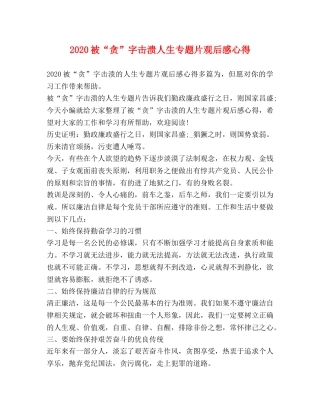 2024被“贪”字击溃人生专题片观后感心得 