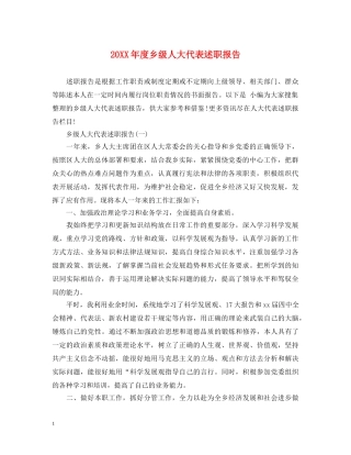 20XX年度乡级人大代表述职报告 