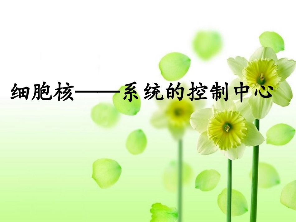 人教版必修1第3章第3节细胞核——系统的控制中心（共28张PPT）_第1页