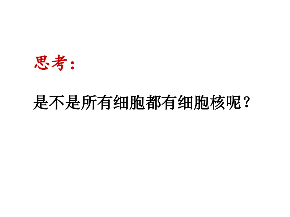 人教版必修1第3章第3节细胞核——系统的控制中心（共28张PPT）_第2页