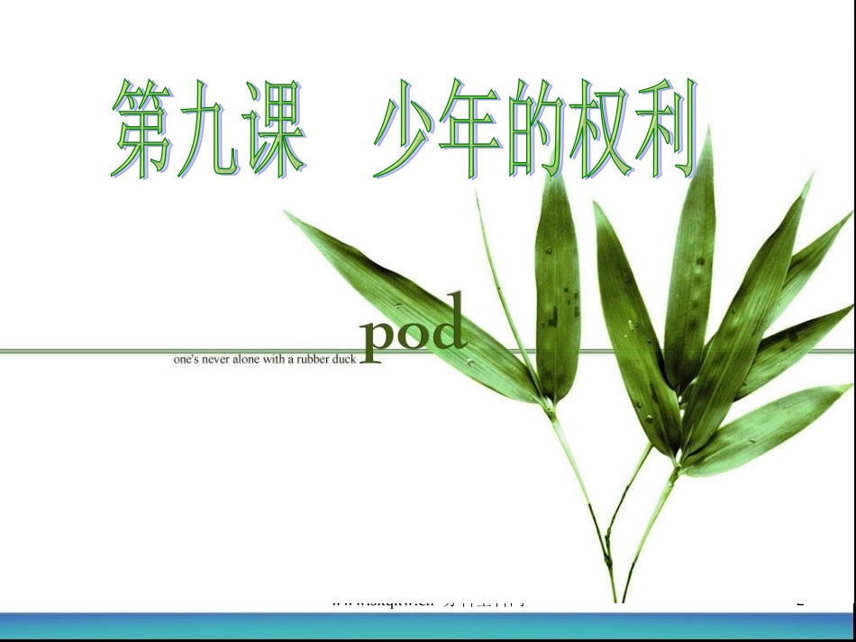 第九课少年的权利课件教科版七年级下_第2页