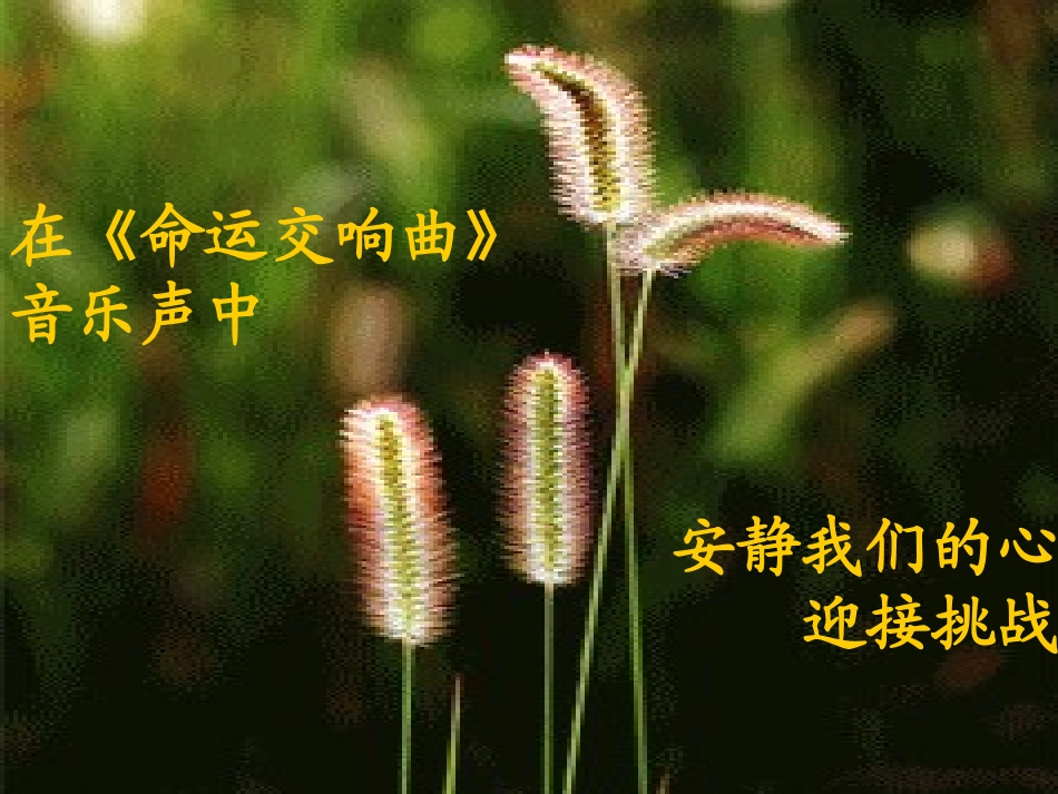 挫折心理调适课件_第1页