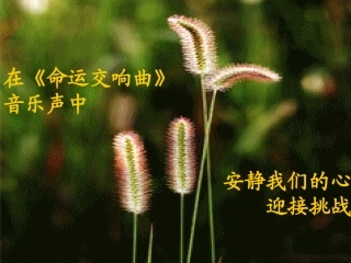 挫折心理调适课件