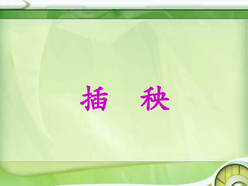 《插秧》课件2_第2页