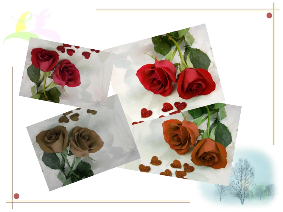 新课标美术课件色彩与生活_第3页