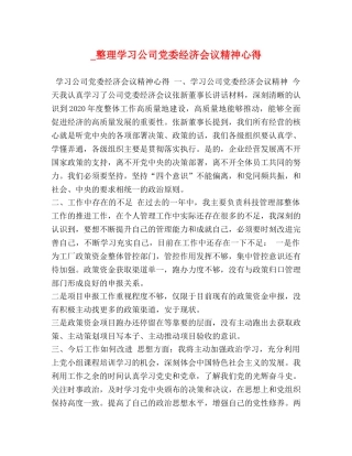 _整理学习公司党委经济会议精神心得 
