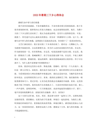 20XX年暑期三下乡心得体会 (000001)