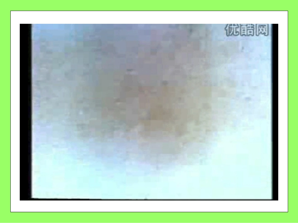 和粗心说再见1_第3页