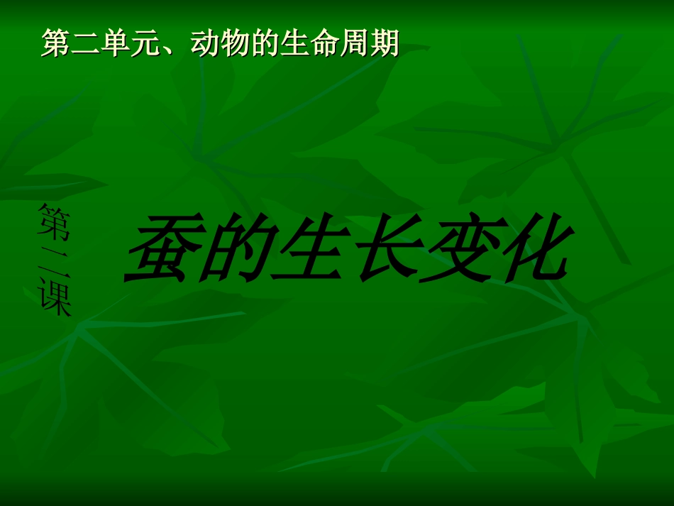 蚕的生长变化PPT_第1页