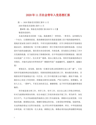 2024年11月社会青年入党思想汇报 (000002)