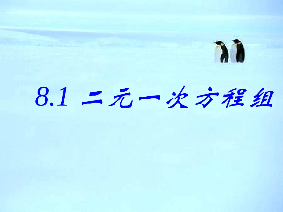 二元一次方程组第课时课件_第1页