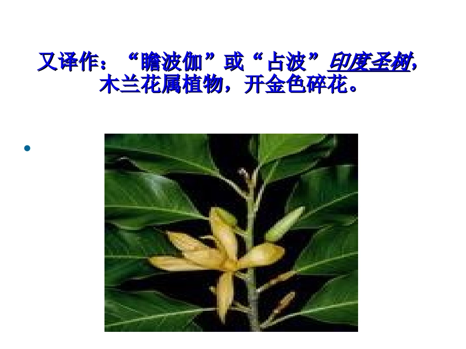 金色花2孟小平_第2页