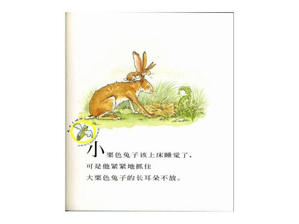 猜猜我有多爱你2_第2页