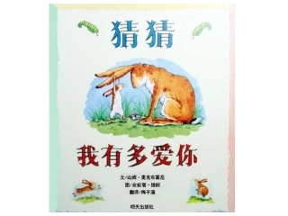 猜猜我有多爱你2