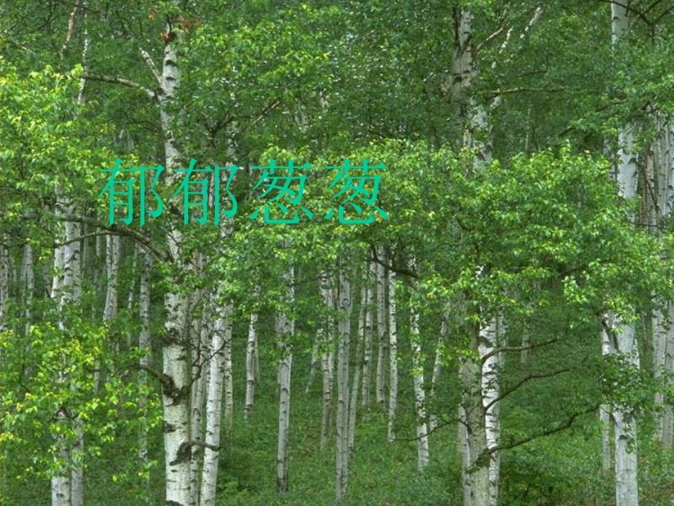 7一个小村庄的故事_第2页