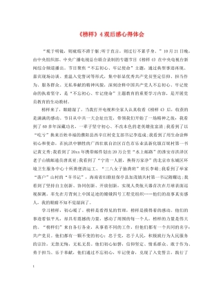 《榜样》4观后感心得体会 