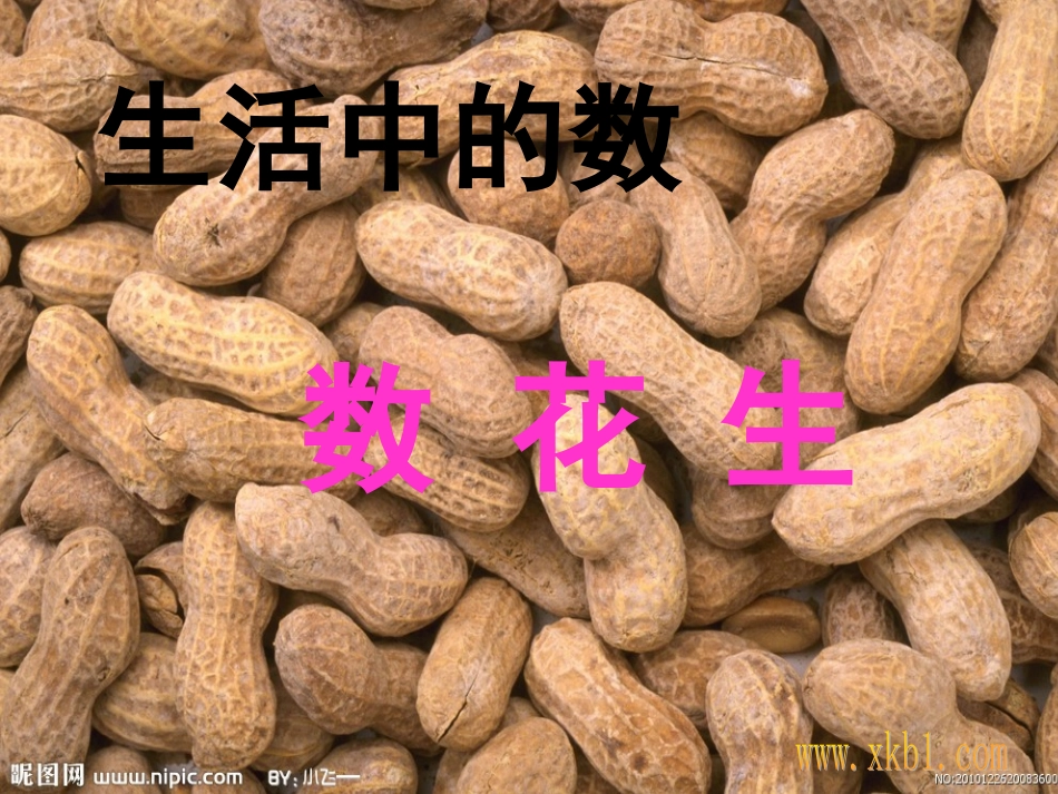 2013年一年级下册数花生课件_第1页