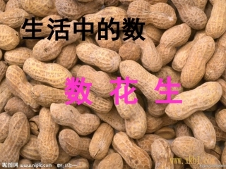 2013年一年级下册数花生课件