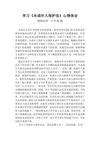 未成年人保护法陈燕