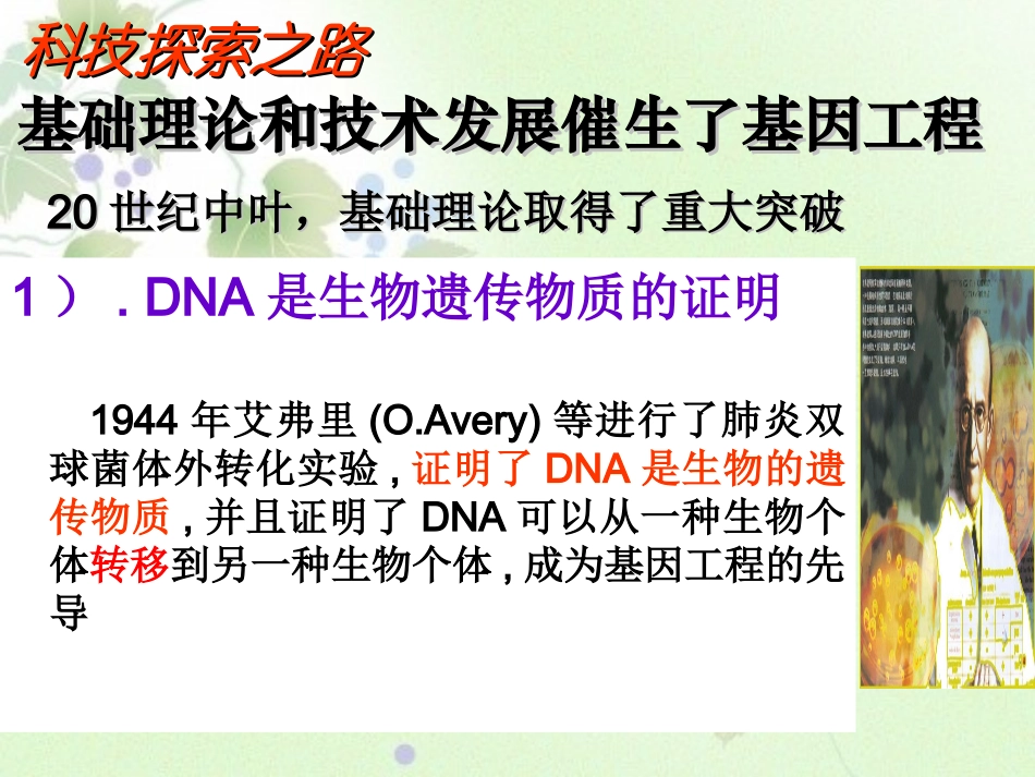 选修三11《DNA重组技术的基本工具》_第3页