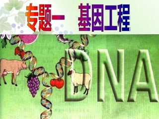 选修三11《DNA重组技术的基本工具》