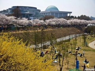 三月桃花水2