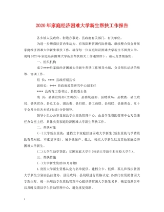 2024年家庭经济困难大学新生帮扶工作报告 