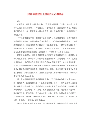 20XX年做政治上的明白人心得体会 