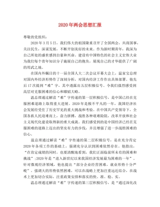 2024年两会思想汇报(2) 