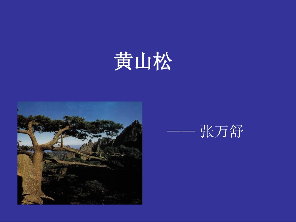 西师版语文第十二册《黄山松》PPT课件_第1页