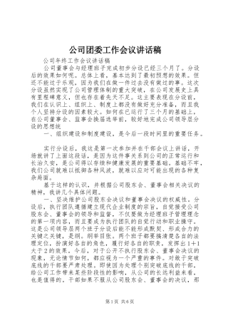 公司团委工作会议的的讲话稿