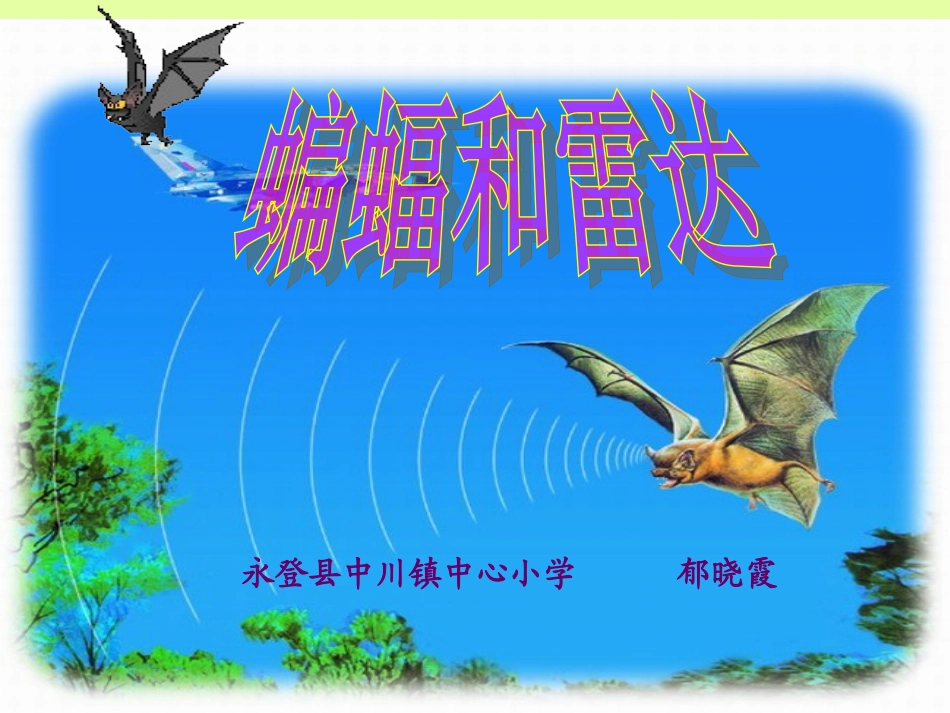 蝙蝠和雷达 (3)_第1页